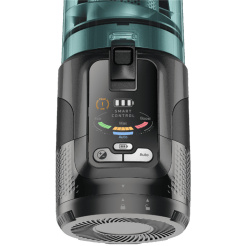 Rowenta X-Force Flex 12.60 Neo Allergia RH9L42WO