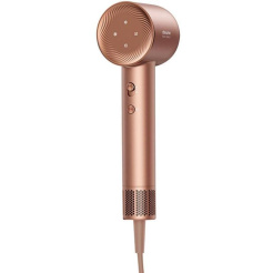 Dreame Glory - rózsa