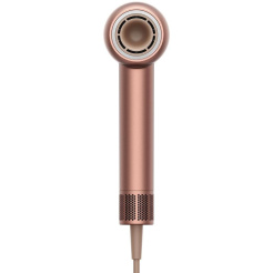 Dreame Glory - rózsa