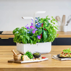 Véritable CLASSIC – fehér, 4 gyógynövénnyel