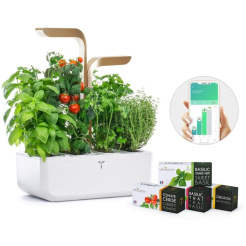 Véritable CONNECT - fehér/pezsgő + 4 gyógynövény utántöltés