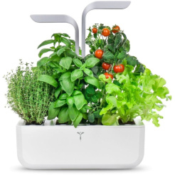 Véritable SMART fényvezérléssel - fehér + 4 gyógynövény utántöltővel