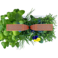 Véritable SMART fényvezérléssel - fekete + 4 gyógynövény utántöltővel