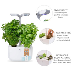 Véritable Exky CLASSIC - fehér + 2 gyógynövényes töltelékkel