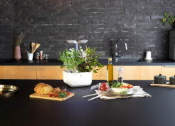 Véritable Exky CLASSIC - fehér + 2 gyógynövényes töltelékkel