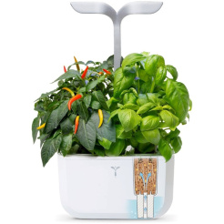 Véritable Exky SMART - fehér + 2 fűszernövény utántöltő