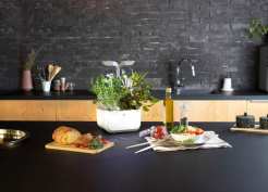 Véritable Exky SMART - fehér + 2 fűszernövény utántöltő