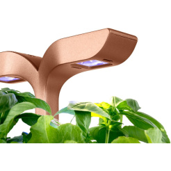 Véritable Exky SMART - fekete + 2 fűszernövény utántöltő