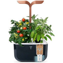 Véritable Exky SMART - fekete + 2 fűszernövény utántöltő