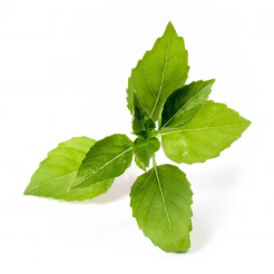 Véritable Lingot citromos bazsalikom - Bio