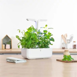 Véritable Lingot citromos bazsalikom - Bio