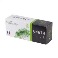 Véritable Lingot Dill - BIO