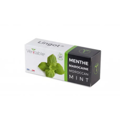 Véritable Lingot marokkói menta - BIO