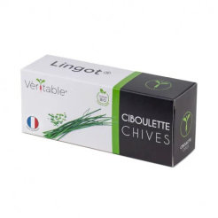 Lingot metélőhagyma - BIO