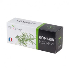 Lingot Rosemary