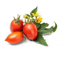 Véritable Lingot Piros mini paradicsom