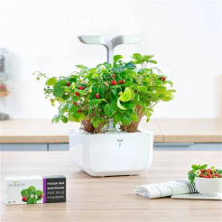 Véritable Lingot vadon termő vörös eper