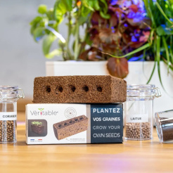 Véritable Lingot - mag nélkül