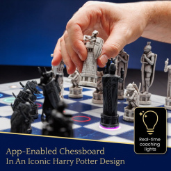 Particula GoChess Mini, Harry Potter-kiadás