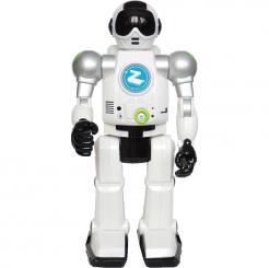 Robot Zigy