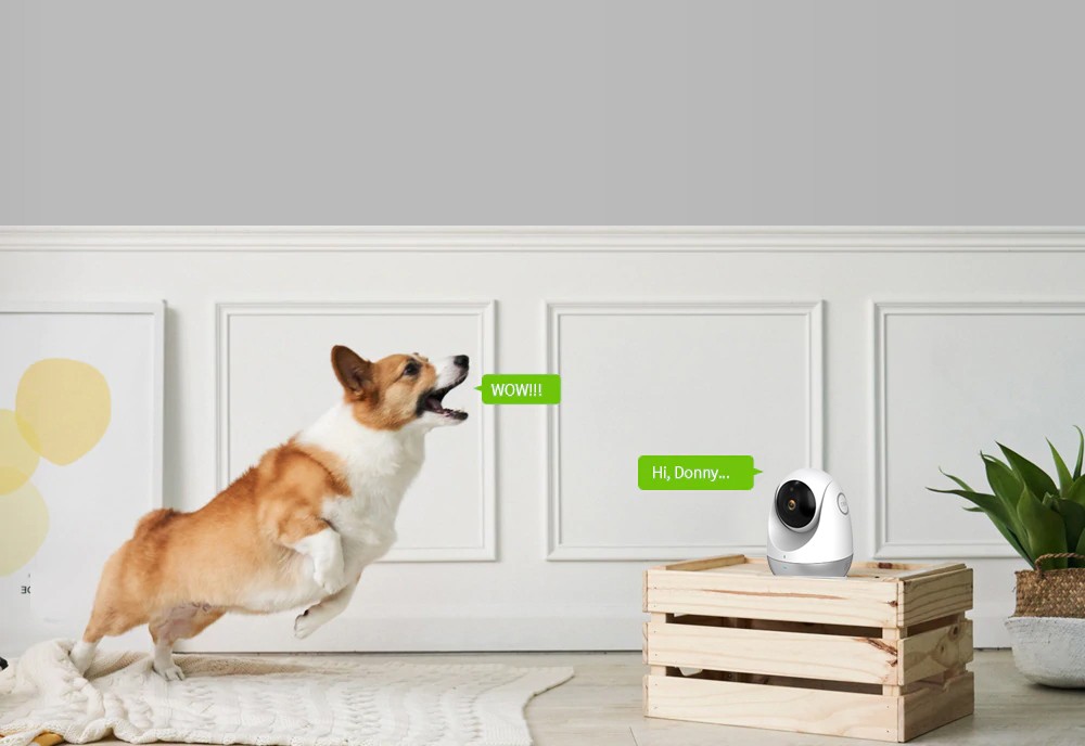 Kétirányú kommunikáció