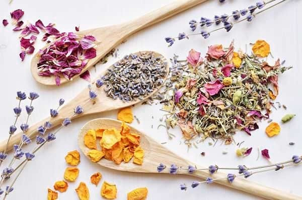 Tányér gyógynövények szárításához